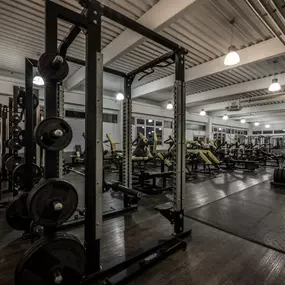 Fitness First Pirmasens - Squat Racks