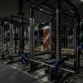 Fitness First Bad Kreuznach - Squat Racks