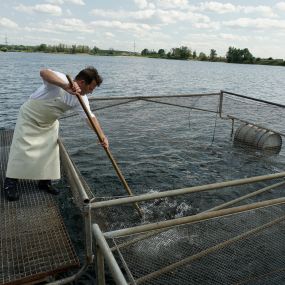 Bild von Fischereibetrieb u. Restaurant Reinhard Riedel