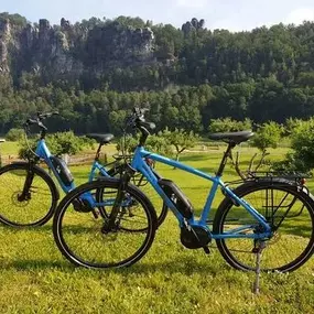 Bild von Lindenhof Rathen gGmbH - E-Bike- und Fahrradverleih