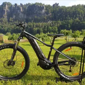 Bild von Lindenhof Rathen gGmbH - E-Bike- und Fahrradverleih