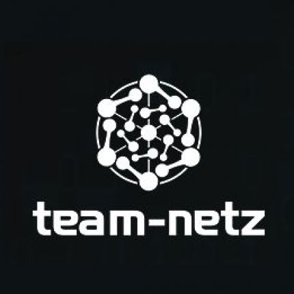Logo od team-netz Consulting