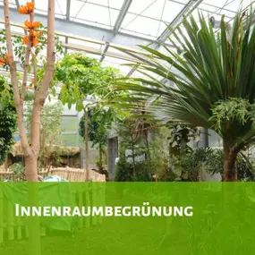 Bild von Krahnstöver & Wolf GmbH Garten- u. Landschaftsbau