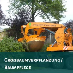 Bild von Krahnstöver & Wolf GmbH Garten- u. Landschaftsbau