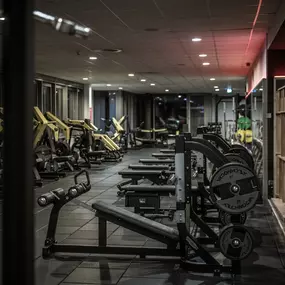 Fitness First Stuttgart Rotebühl - Geräte Training