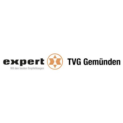 Logotyp från expert TVG Main-Spessart GmbH & Co. KG Gemünden
