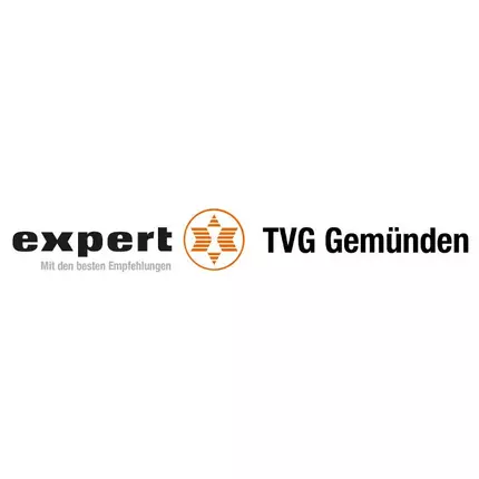 Logotyp från expert TVG Main-Spessart GmbH & Co. KG Gemünden