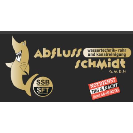 Logo od Abfluß-Schmidt-GmbH