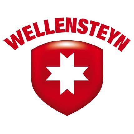 Logo fra Wellensteyn Store