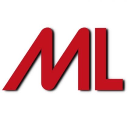 Logo da ML-Webprojekte.de