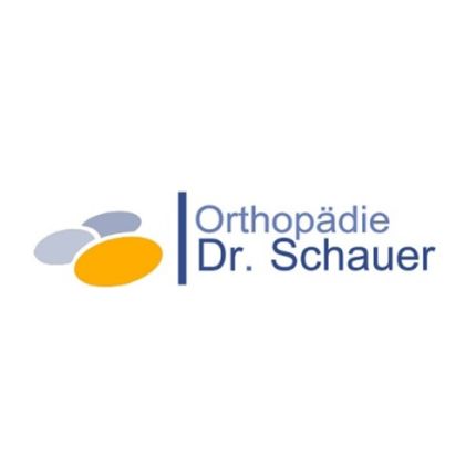 Logotipo de Dr. Schauer, Orthopädie-Sportmedizin-Chirotherapie-Naturheilverfahren-Akupunktur