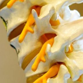 Praxis für Naturheilkunde und Osteopathie Basir