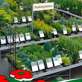 Bild von Gartenfachmarkt Zschopauer Straße