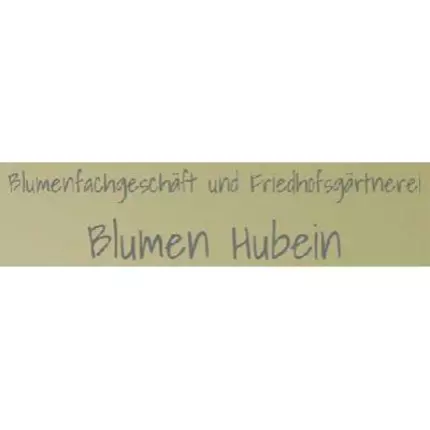 Logo da Hubein Diana