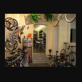 Verkaufsraum - Fahrrad | Gegenwind Fahrrad + Service | München