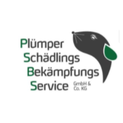 Logo od Plümper Schädlingsbekämpfungsservice GmbH & Co.Kg Standort Hannover