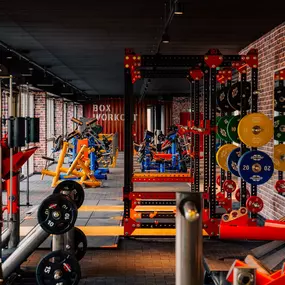 Bild von Gold's Gym Fitnessstudio Krefeld