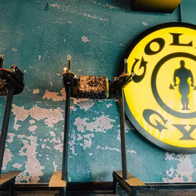 Bild von Gold's Gym Fitnessstudio Krefeld