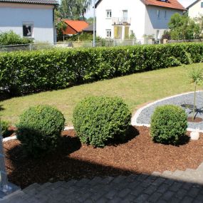 Bild von peter. garten-& landschaftsbau