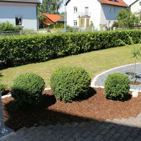 Bild von peter. garten-& landschaftsbau