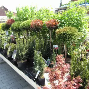 Bild von Gartenmarkt Meisenbach