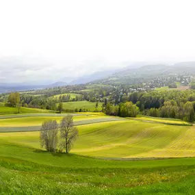 Bild von Fleischer-Innung Heilbronn-Hohenlohe-Schwäbisch Hall