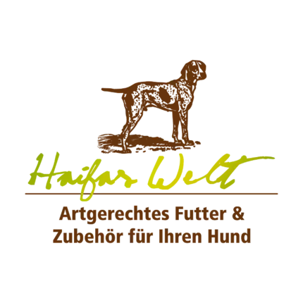 Logo von Haifas Welt