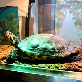 Kita Blütenallee
Darmstadt
pme Familienservice GmbH