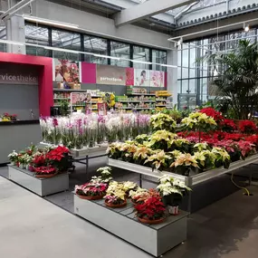 Bild von bauSpezi Bau- und Gartenmarkt