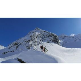 Bild von Wilde Alpentouren