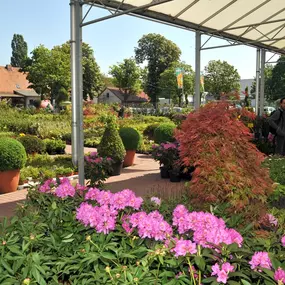 Bild von Grüner Holländer Gartencenter Berlin