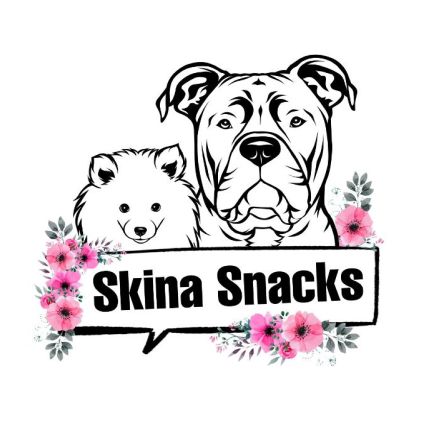 Logotyp från Skina-Snacks