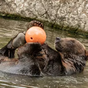 Bild von Stiftung Hagenbeck Stiftung des bürgerlichen Rechts