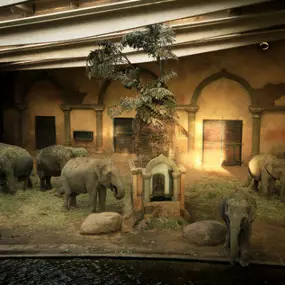 Bild von Stiftung Hagenbeck Stiftung des bürgerlichen Rechts