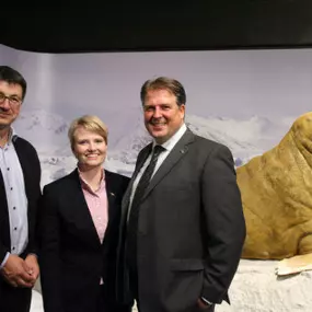 Bild von Stiftung Hagenbeck Stiftung des bürgerlichen Rechts