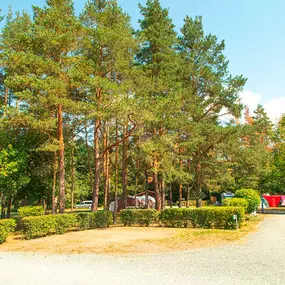 Bild von Camping Pirna