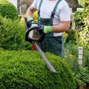 Bild von Garten- und Landschaftspflege Lang