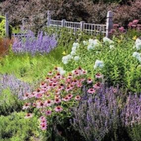 Bild von Garten- und Landschaftspflege Lang