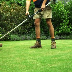 Bild von Garten- und Landschaftspflege Lang