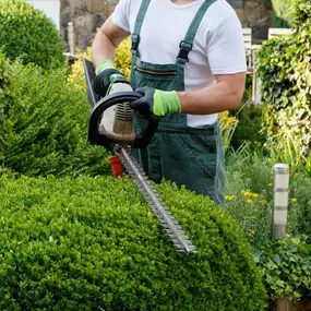 Bild von Gartenbau & Gartenpflege Langenhagen UG