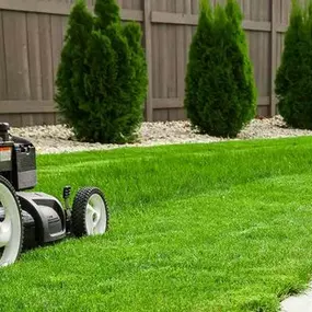 Bild von Gartenbau & Gartenpflege Langenhagen UG