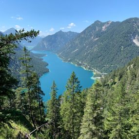 MusterAlpe Plansee in Reutte