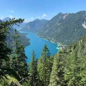 MusterAlpe Plansee in Reutte