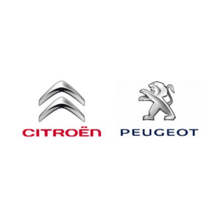 Logotyp från Auto Pöchtrager GmbH