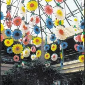 Bild von Fest-Dekor GesmbH