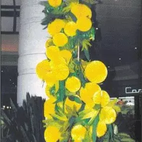 Bild von Fest-Dekor GesmbH