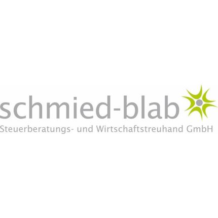 Logo od Schmied-Blab Steuerberatungs- und Wirtschaftstreuhand GmbH