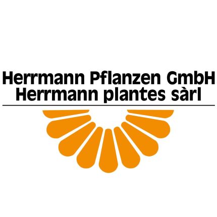 Logótipo de Herrmann Pflanzen GmbH