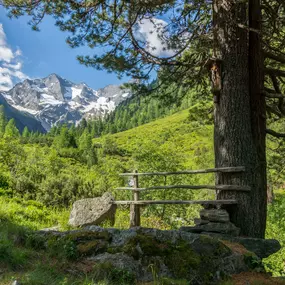 Unsere Kunden können sich genüsslich in der Natur auf einer Bank ausruhen, weil wir für sie die Steuerangelegenheiten machen