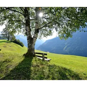 Hotel Gasthaus Steinerkogl 6290 Brandberg  atemberaubende Aussicht auf 1.270m Seehöhe